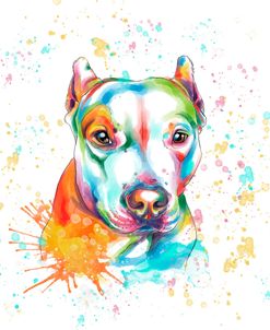 Colorful Watercolor Staffordshire Terrier
