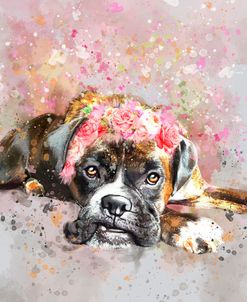 Flower Crown Boxer