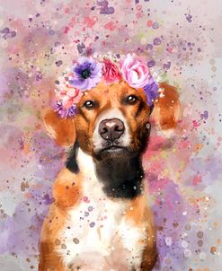 Flower Crown Brittany Spaniel