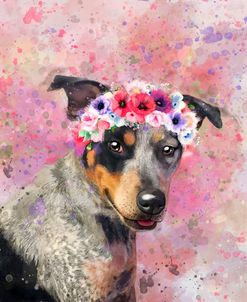 Flower Crown Australian Cattle Dog