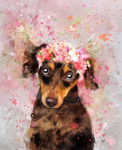 Flower Crown Dachshund