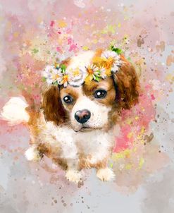 Flower Crown Cavalier King Charles Spaniel