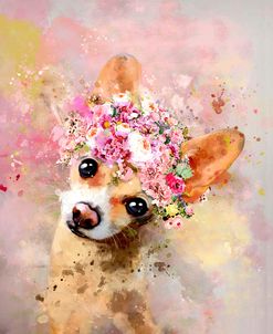 Flower Crown Chihuahua 2