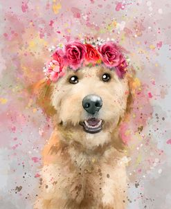 Flower Crown Goldendoodle 4