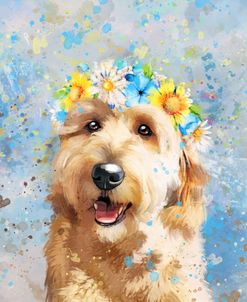 Flower Crown Goldendoodle 5