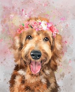 Flower Crown Goldendoodle 6