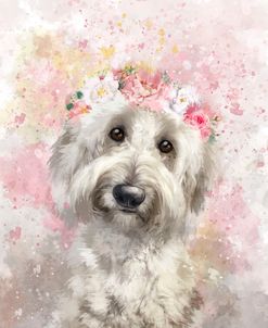 Flower Crown Goldendoodle 7