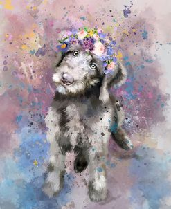 Flower Crown Labradoodle 2