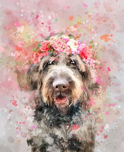 Flower Crown Labradoodle