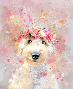 Flower Crown Goldendoodle