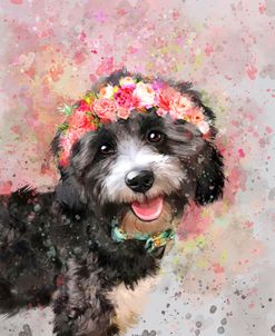 Flower Crown Havanese