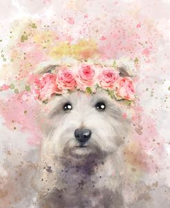 Flower Crown Maltese