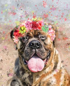 Flower Crown Mastiff