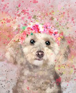 Flower Crown Miniature Poodle