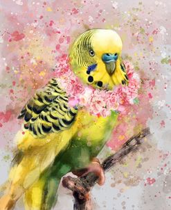 Flower Crown Parakeet