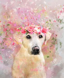 Flower Crown Labrador Retriever