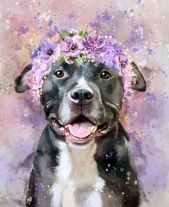 Flower Crown Pit Bull 6