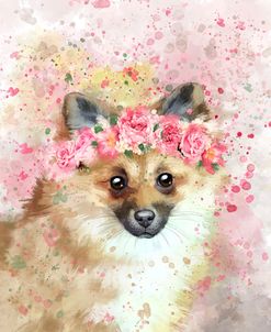 Flower Crown Pomeranian