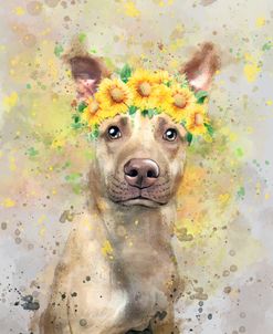 Flower Crown Pit Bull 2