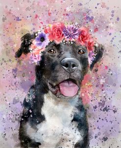 Flower Crown Pit Bull 4