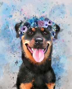 Flower Crown Rottweiler