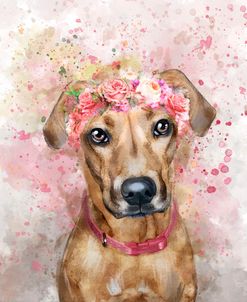 Flower Crown Vizsla