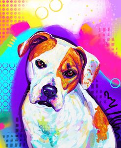 Pop Art American Bulldog