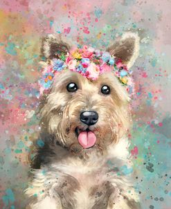 Flower Crown Yorkshire Terrier