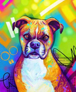 Pop Art Boxer