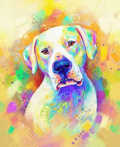 Pop Art Dogo Argentino