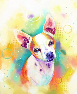 Pop Art Chihuahua 3