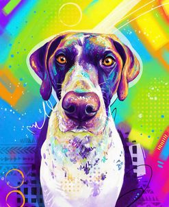 Pop Art German Shorthaired Pointer