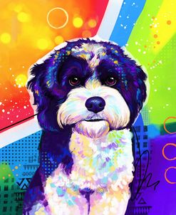 Pop Art Havanese