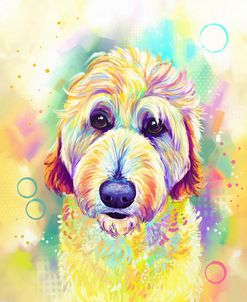 Pop Art Goldendoodle 2