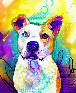 Pop Art Pit Bull 3