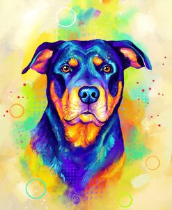 Pop Art Rottweiler