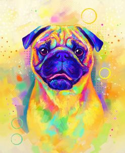 Pop Art Pug