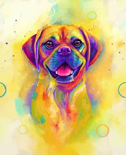 Pop Art Puggle