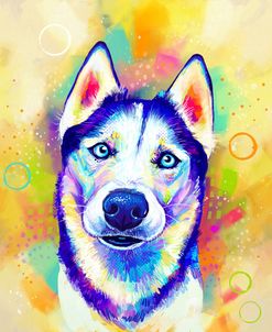 Pop Art Siberian Husky