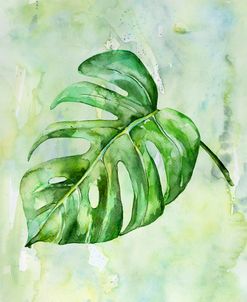 Monstera with Background 1