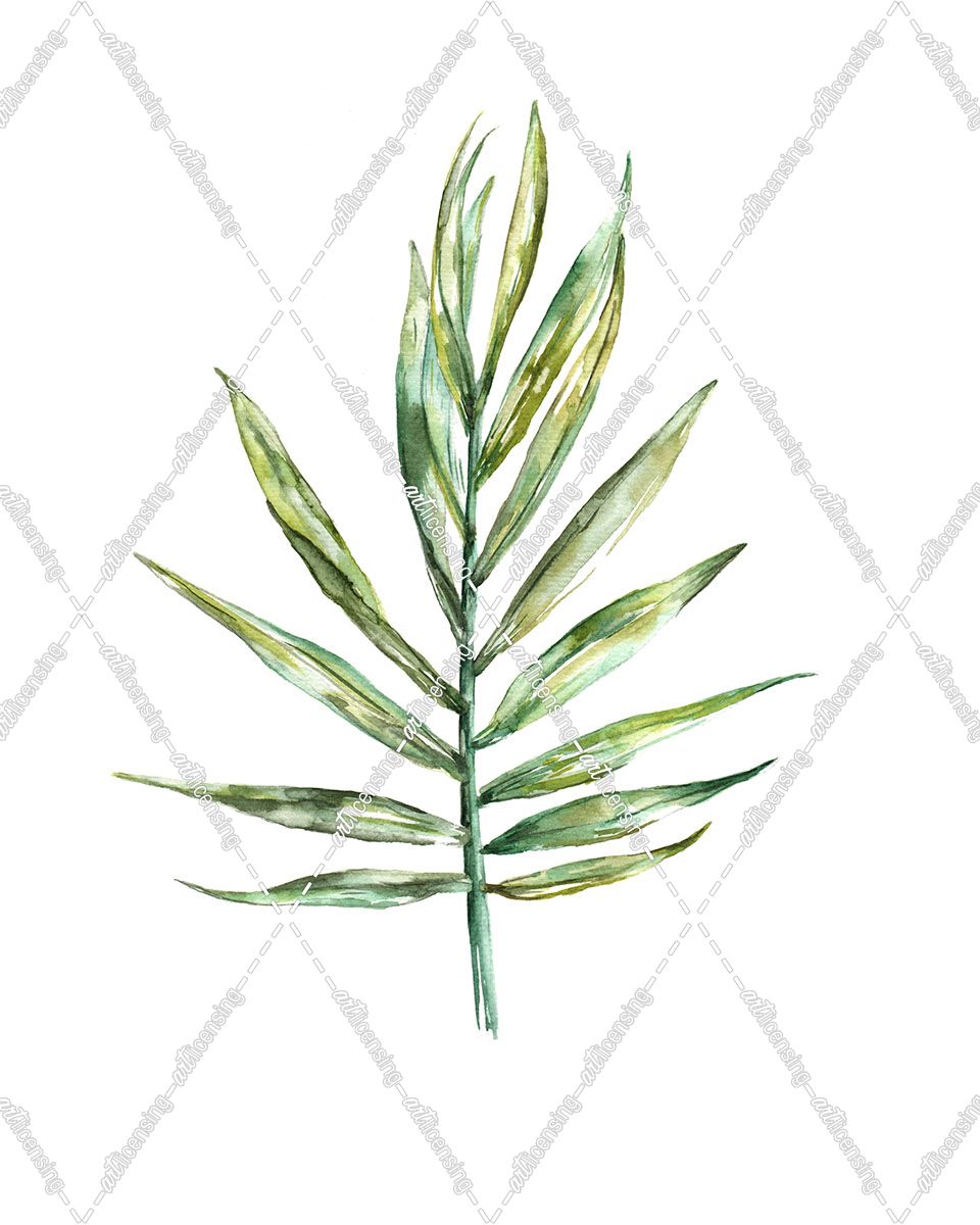 Areca palm leaf