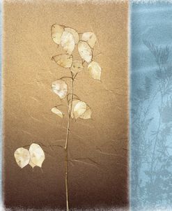 Lunaria I