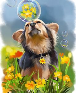 Dog Playing With Soap Bubble
