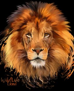 Lion Portrait