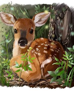 Cute Deer Lies In The Grass
