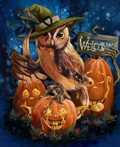 The Owl In The Magic Hat And Her Pumpkins Friends