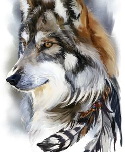 Red Wolf Head And Bird Feathers