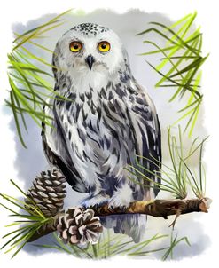 Snowy Owl Sitting On A Branch