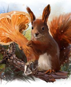 Squirrel And A Mushroom Chanterelle