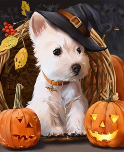 Magic Puppy